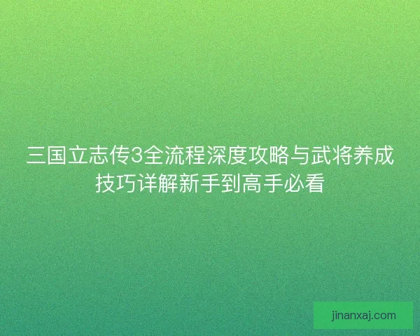 三国立志传3全流程深度攻略与武将养成技巧详解新手到高手必看