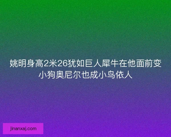姚明身高2米26犹如巨人犀牛在他面前变小狗奥尼尔也成小鸟依人